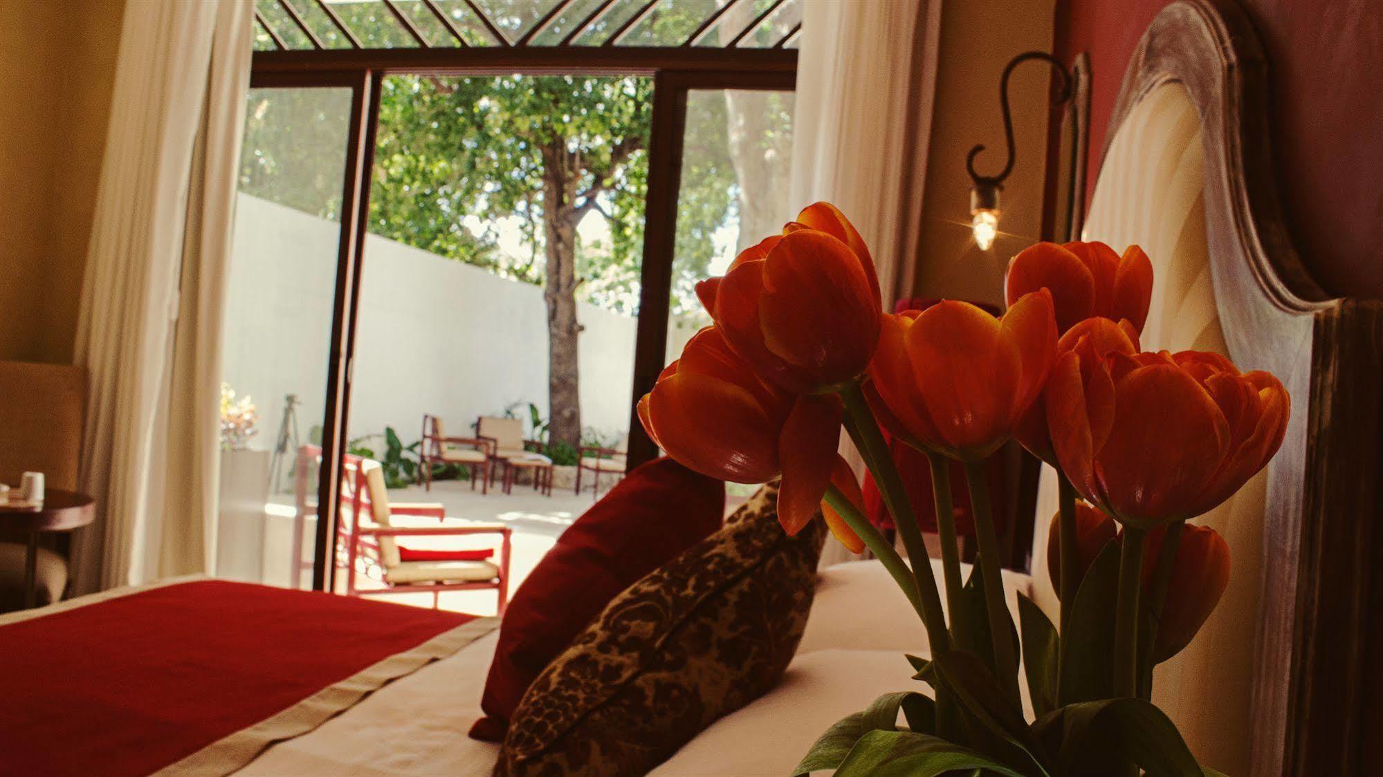 Casa Italia Luxury Guest House - Adults Only Mérida Εξωτερικό φωτογραφία