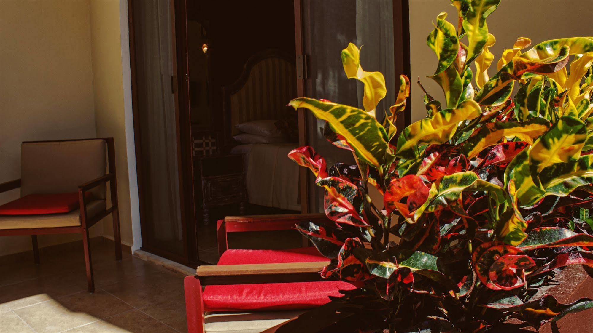 Casa Italia Luxury Guest House - Adults Only Mérida Εξωτερικό φωτογραφία