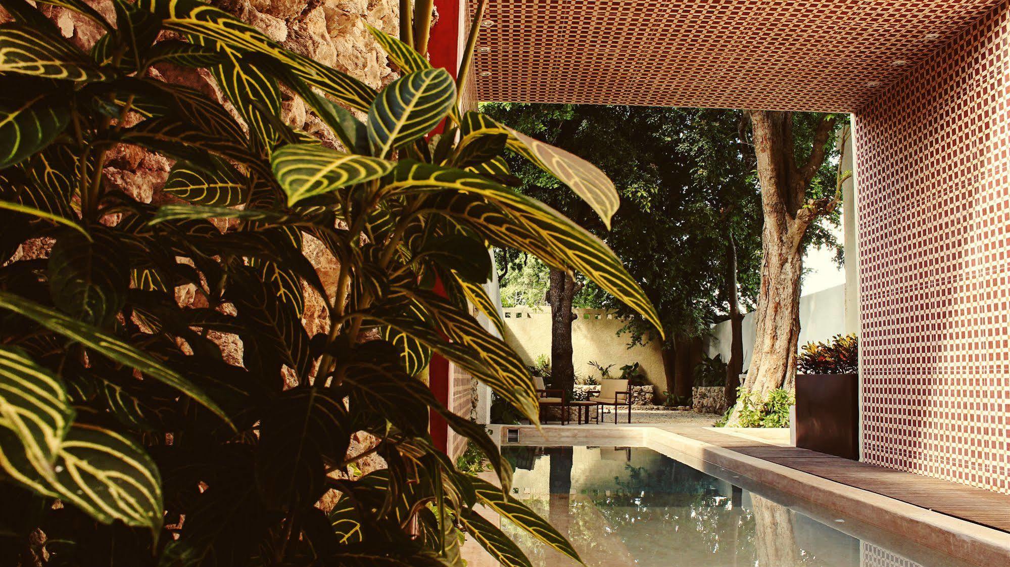 Casa Italia Luxury Guest House - Adults Only Mérida Εξωτερικό φωτογραφία